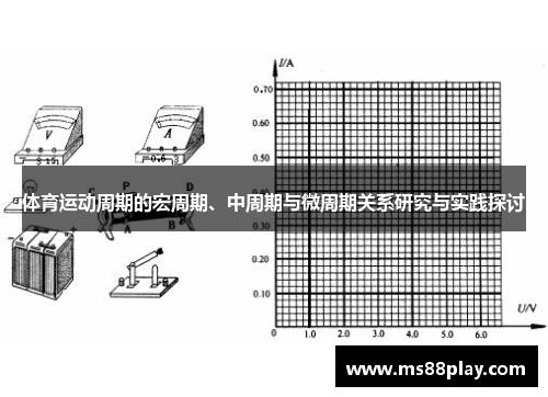 体育运动周期的宏周期、中周期与微周期关系研究与实践探讨