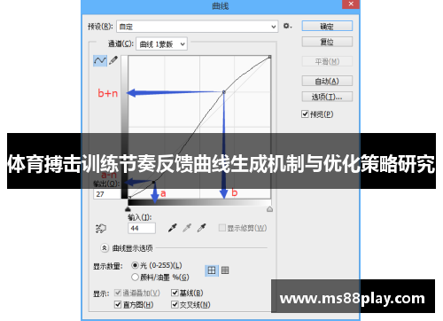 体育搏击训练节奏反馈曲线生成机制与优化策略研究