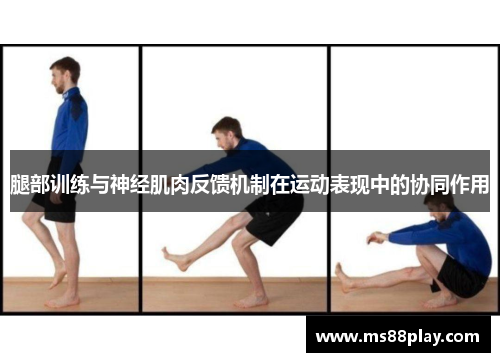腿部训练与神经肌肉反馈机制在运动表现中的协同作用